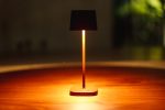 Photo bronze floor lamp